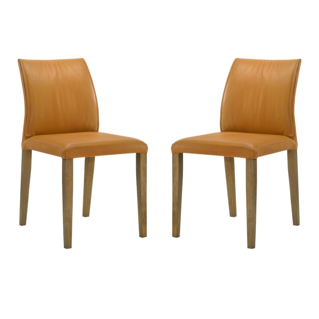 Elyza Dining Chair