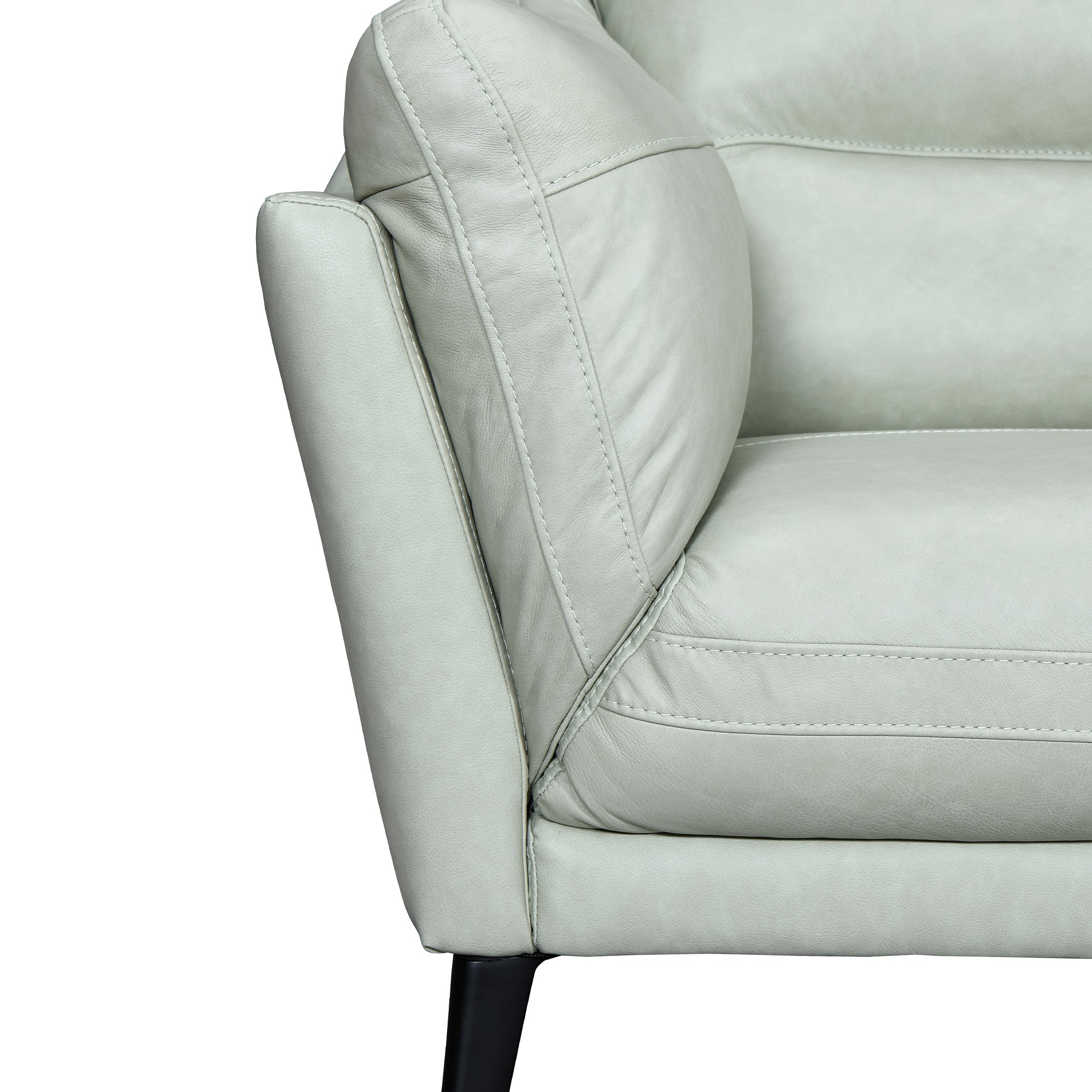 Armen Living Franz Sofa