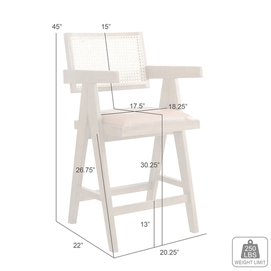 Harley Barstool