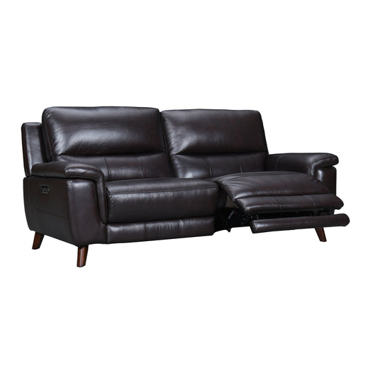 Lizette Leather Power Recliner Sofa with USB