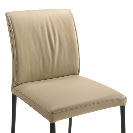 Meriam Dining Chair