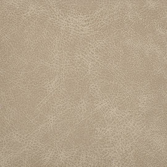 Armen Living Tyler Barstool