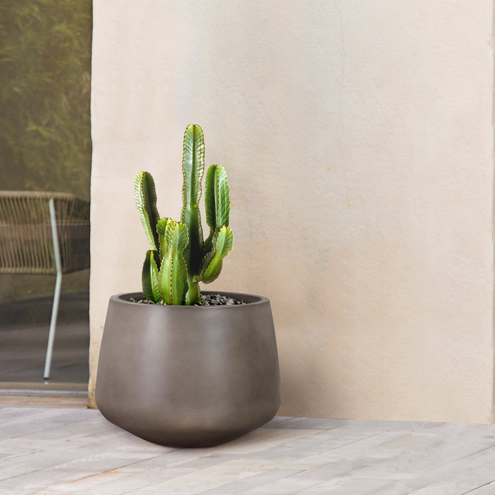 armen living Amethyst Indoor or Outdoor Planter