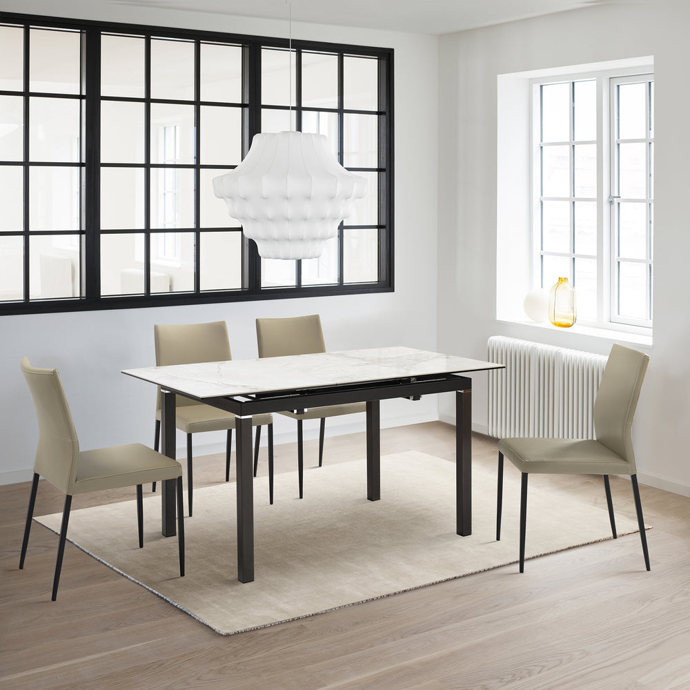 Kash Upholstered Dining Chair Set of 2