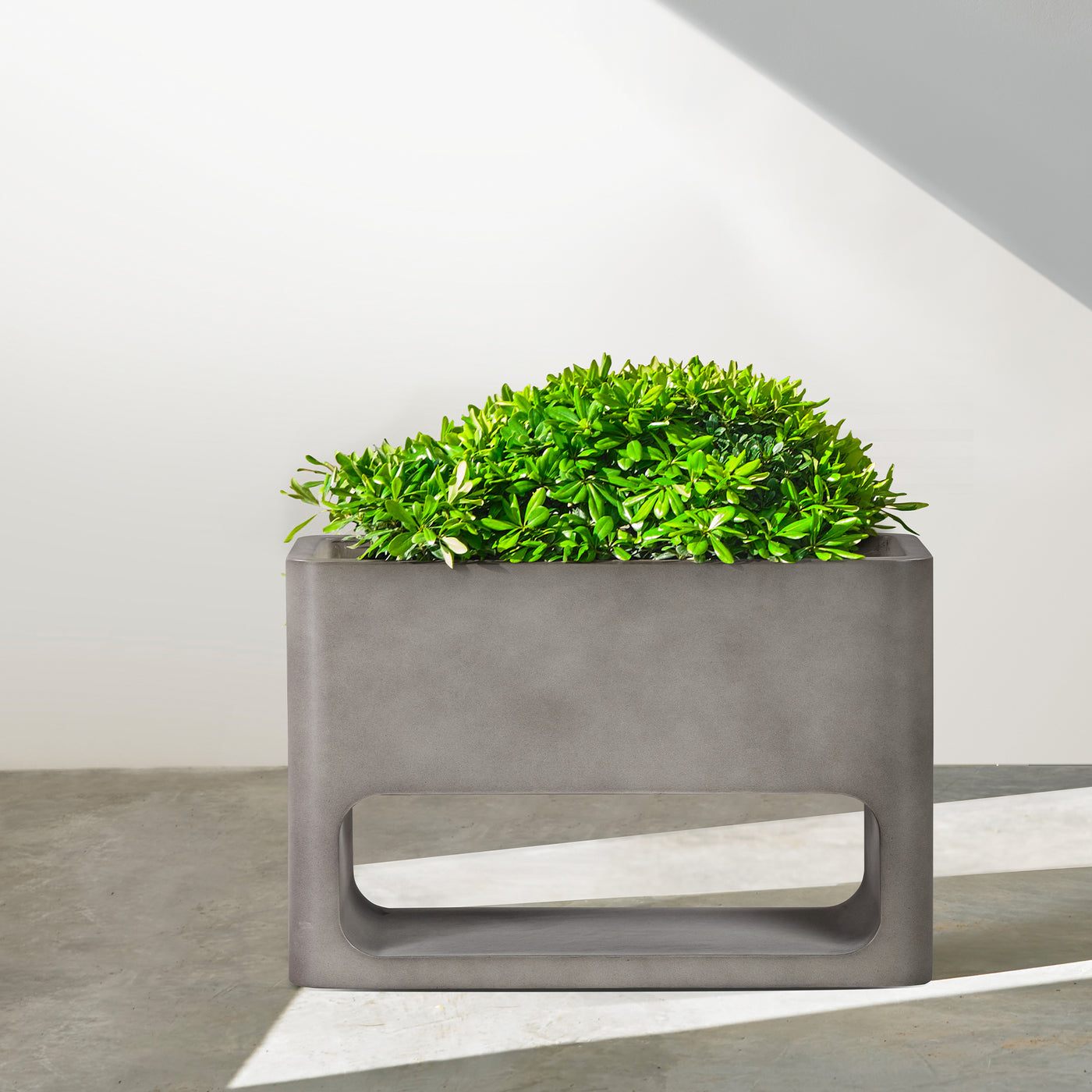 Sunstone Planter